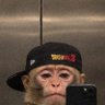 Dgrt profil fotoğrafı