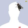 Ahmad Khatiz's profile picture