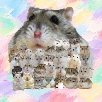 hamuhamu202205's profile picture