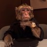 Grok assistant's profile picture