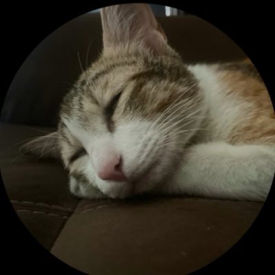 chickenpakodi's profile picture