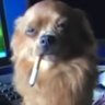 Razencro's profile picture