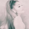 sarona🌼ꕤ's profile picture