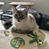 Profilbild von NinaMBO