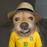 Profilbild von JR_®️13 🇧🇷