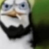 pinguim fumando 的头像