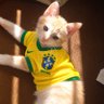 Janey Heart's profile picture