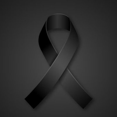 SoniaGRaguay's profile picture
