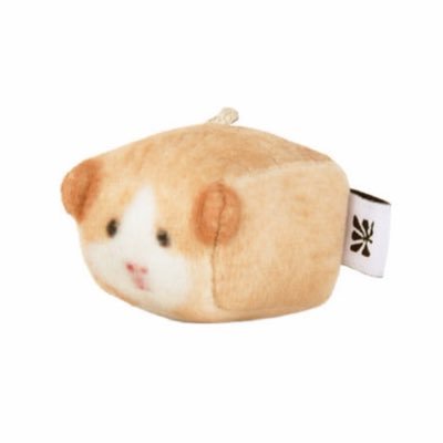 박쪼꼼's profile picture