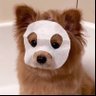 Profilbild von ป้าข้างบ้าน 🐶