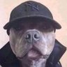 Profilbild von F€lip£