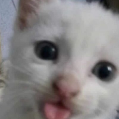 Xavier's profile picture