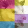 Rmry Gryffin's profile picture