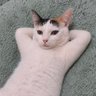帅 profil fotoğrafı