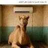 اكره البشر 的头像