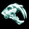 Profilbild von roach