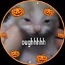 Profilbild von nik-boo👻🎃 (niko)