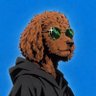 Max's profile picture