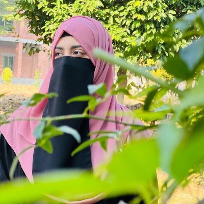 Ayesha Khan's profile picture