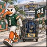 Dr. Nikki's profile picture
