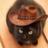 Profilbild von Steven