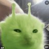 🌲मैं भी वनवासी 🌲's profile picture