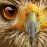 SEANIE profil fotoğrafı