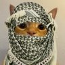 Benji profil fotoğrafı