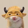 Profilbild von naЯa