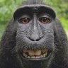 Profilbild von Viktoria Schuhmacher