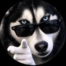 Sr. Dogg profil fotoğrafı