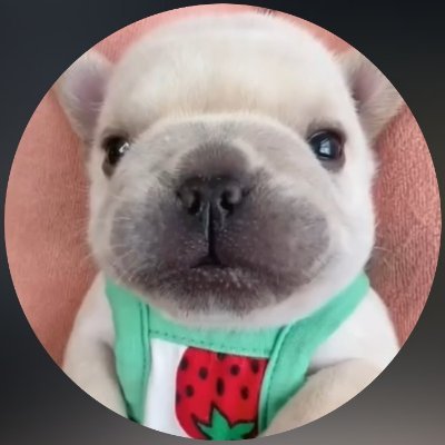 reintegrada's profile picture