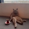 Burak Kara profil fotoğrafı
