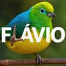 Leoa de Judá ✡️ 🇮🇱 🇧🇷 🇵🇹 🇺🇲 profil fotoğrafı