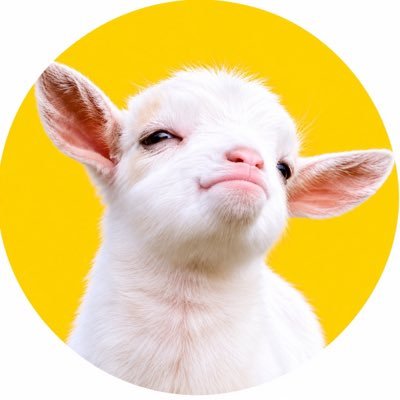 Edwin Cheung's profile picture