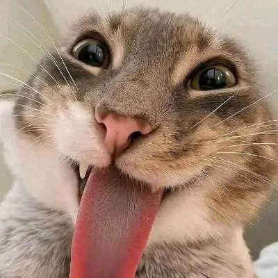BossOf3Slaves's profile picture