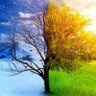 Фото профиля Winter Spring Ws