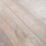 FZN 的头像