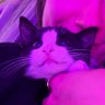 kate's profile picture