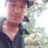Constantinescu Alexandru Florian's profile picture