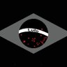 Teacher_Erika 🇧🇷's profile picture