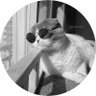 SATYAJIT's profile picture