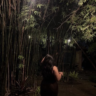 Nonthikarn9339's profile picture