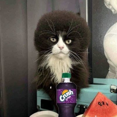 LordKingFigaro's profile picture