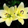 Betty K.'s profile picture