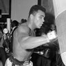 boxinggymgisors.'s profile picture