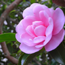 三連休 profil fotoğrafı