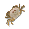 Muraquix's profile picture