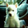 Profilbild von Aika@aika nadine
