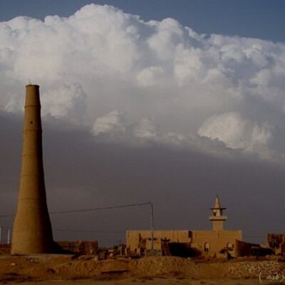 مرفأ's profile picture